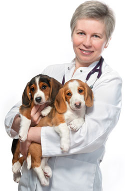 Get assistance with all your veterinary practice financing needs